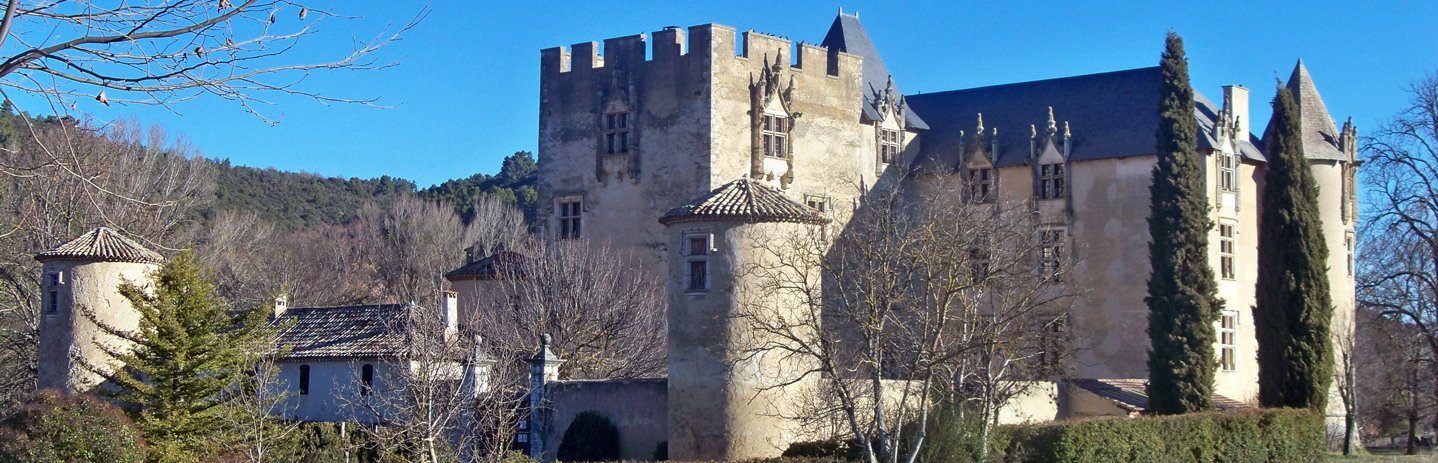 Chateau d'Allemagne en Provence